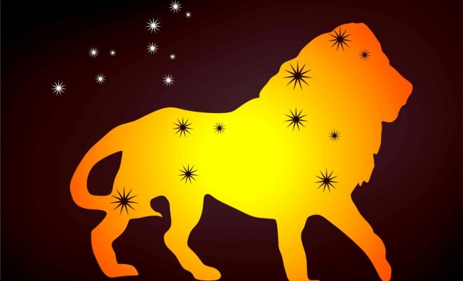 Sternzeichen Löwe Partner zurückgewinnen